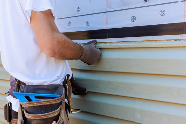 Affordable Siding Installation solutions in The Plains, OH